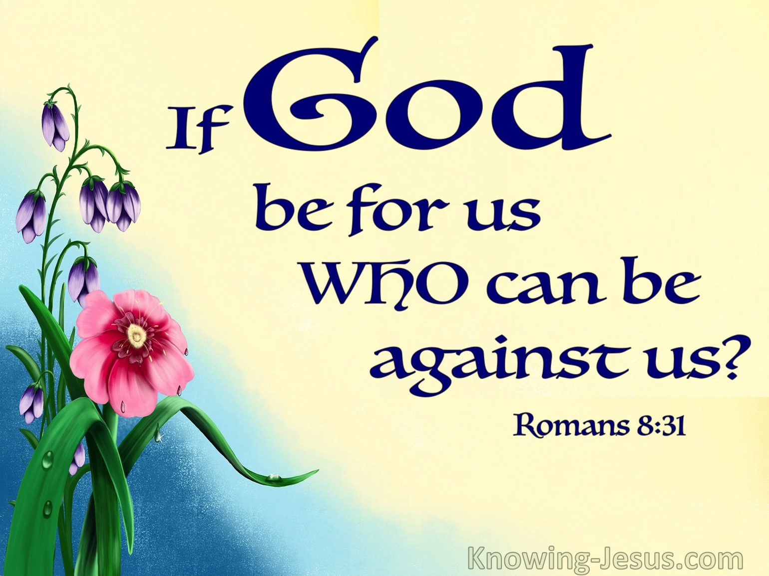 What Does Romans 8 31 Mean 